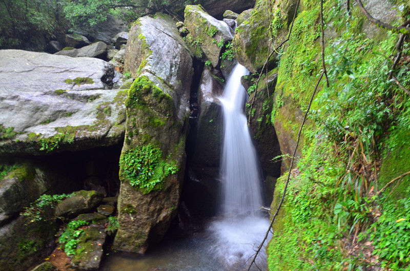 DSC_3248_.jpg