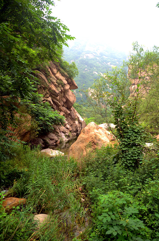 DSC_5512.JPG