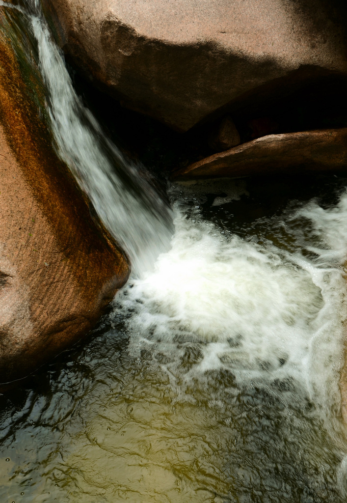 DSC_5548.JPG