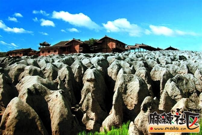 我就想问问移动?