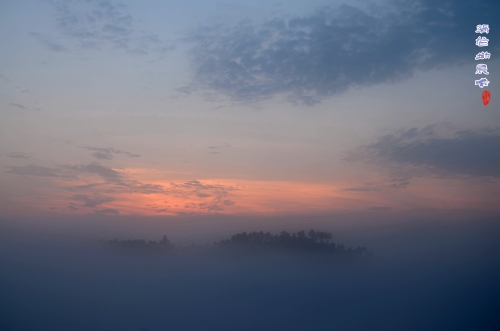 DSC_6267_conew1.jpg