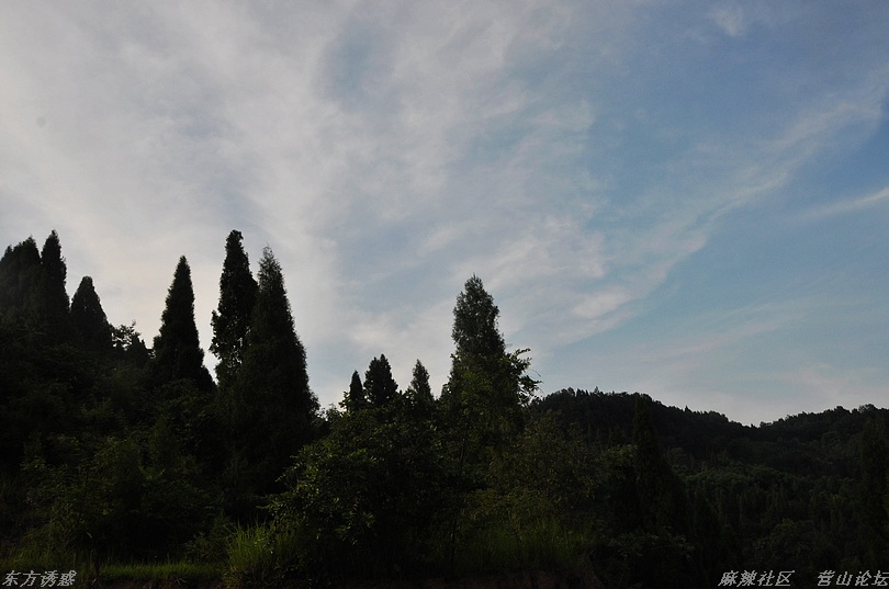 DSC_0069.jpg