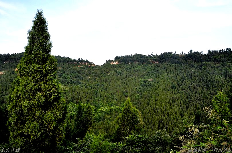 DSC_0066.jpg