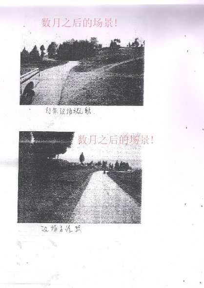 ֳ鹤¼6.jpg