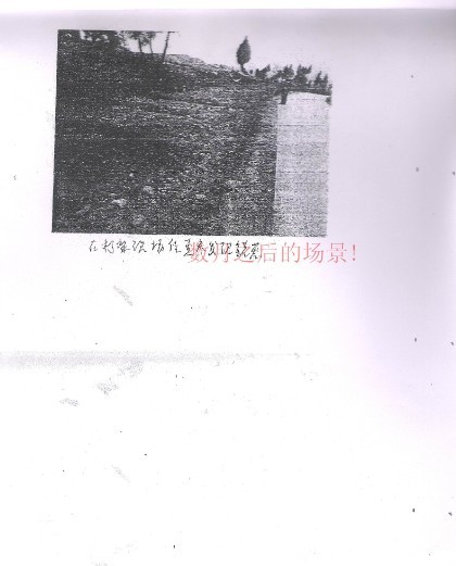 ֳ鹤¼8.jpg