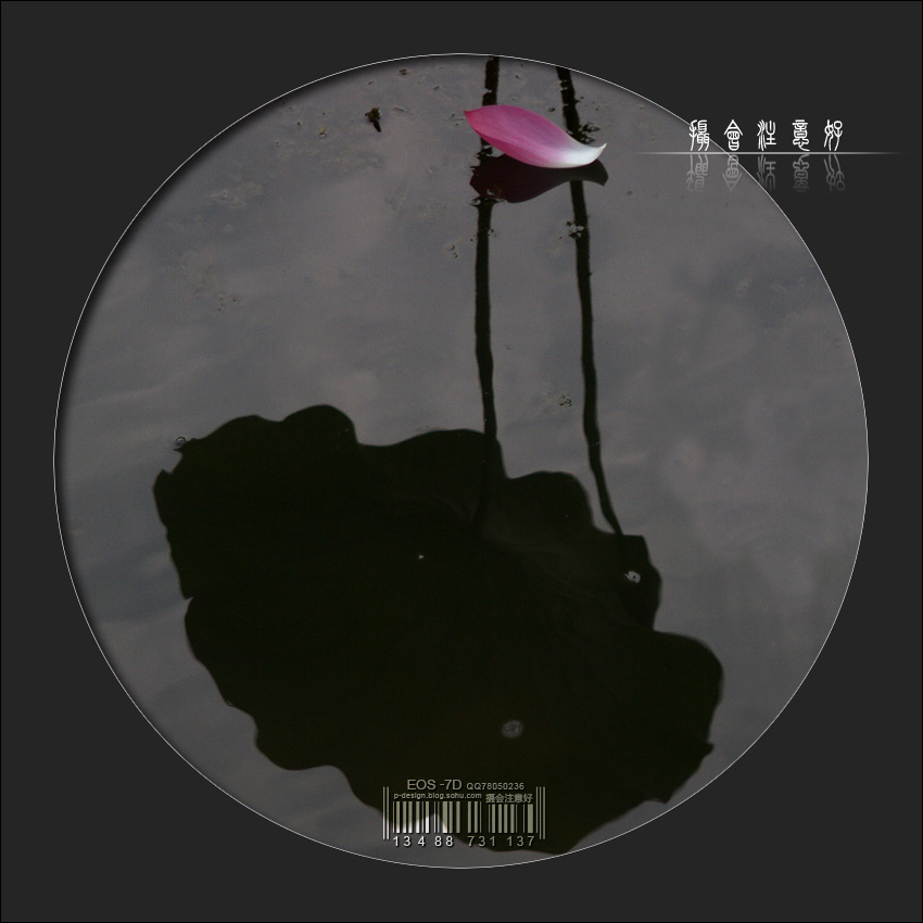 ɻ-04.jpg
