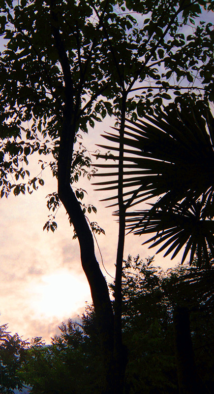 DSC04771_.jpg