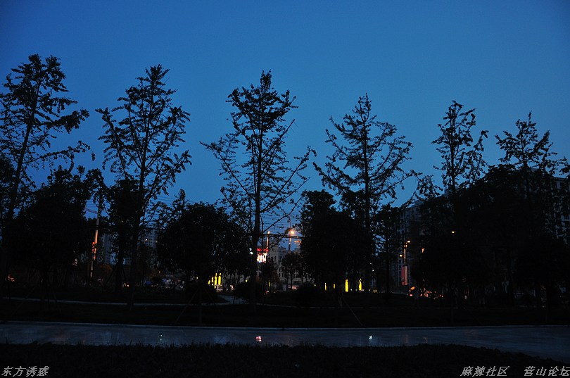 DSC_0031.jpg