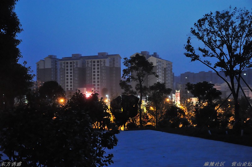 DSC_0040.jpg