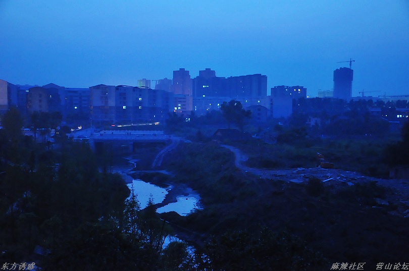 DSC_0042.jpg