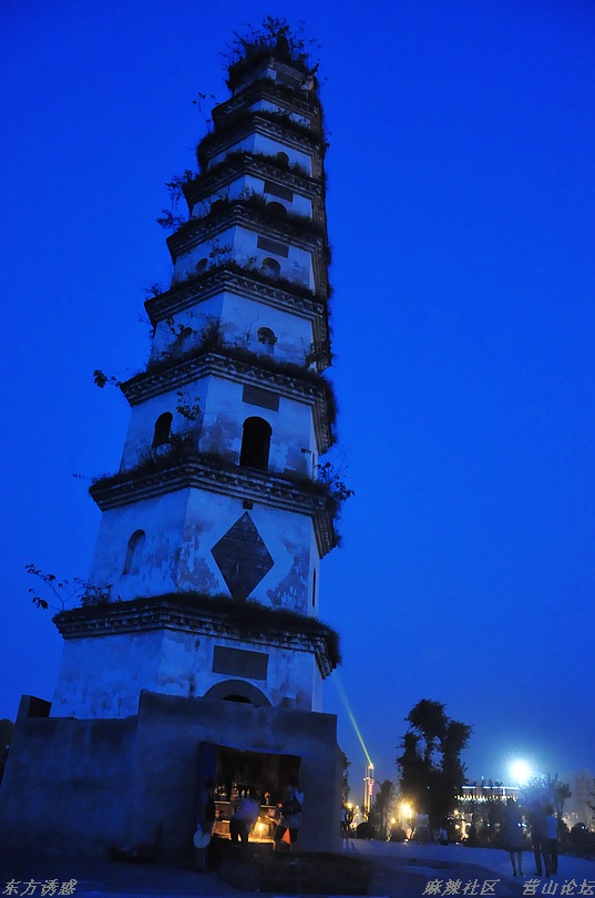 DSC_0044.jpg