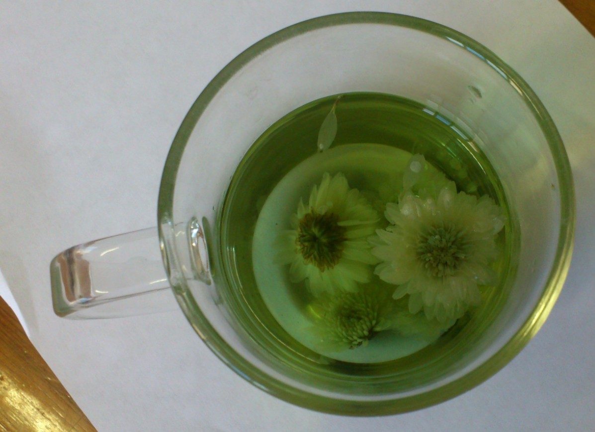 你敢不敢喝这样的绿色的黄菊花泡茶?(有图有真相)