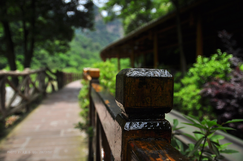 DSC_0472.jpg