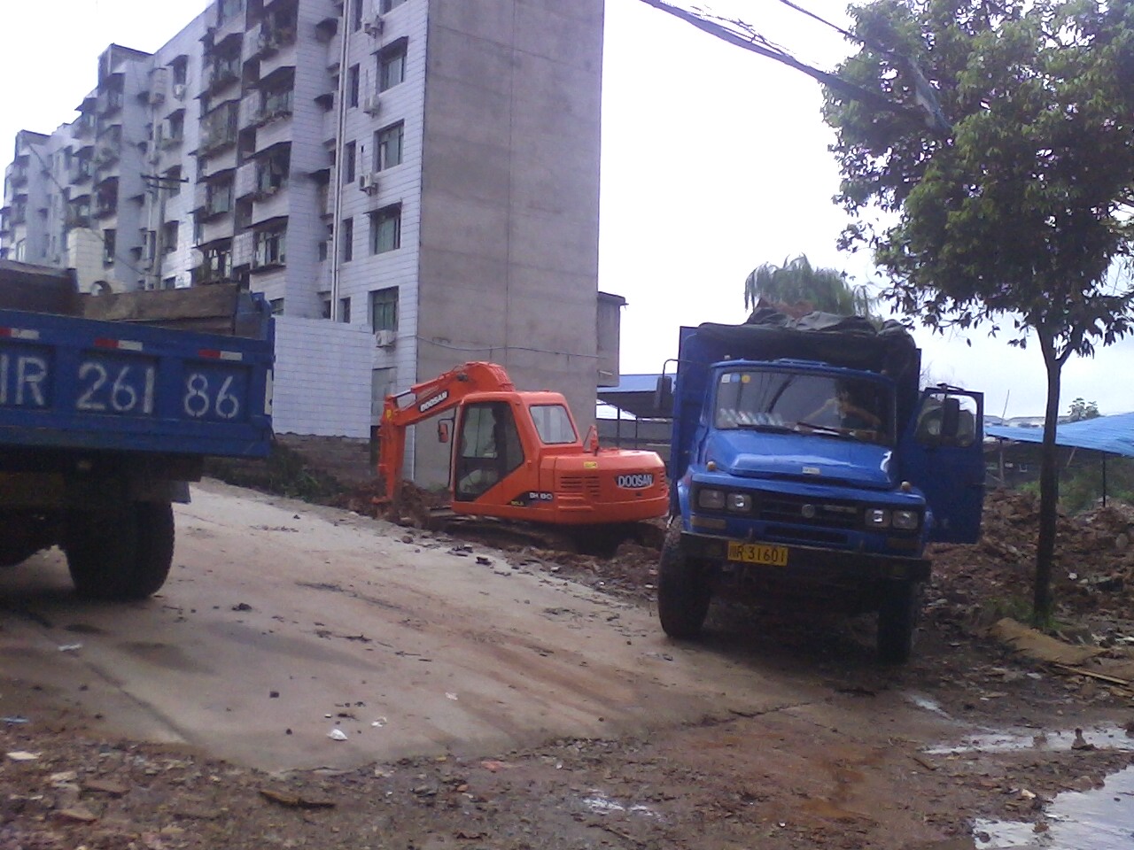 IMG0812090200.jpg
