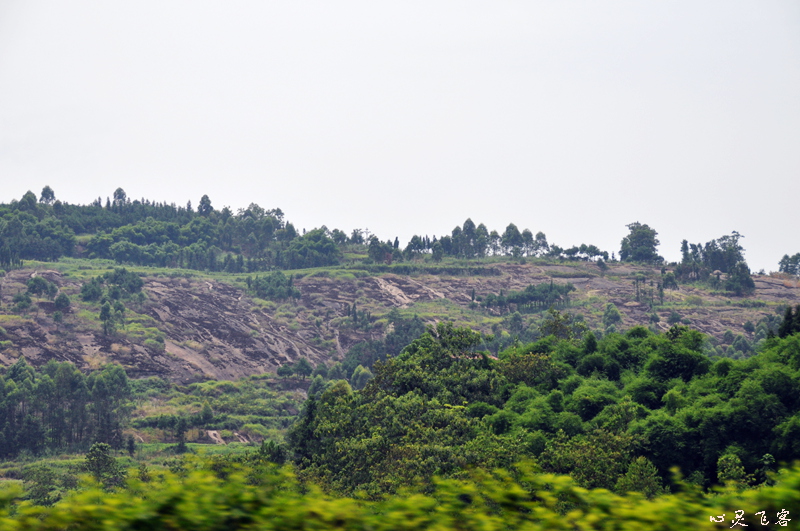 DSC_0069.jpg
