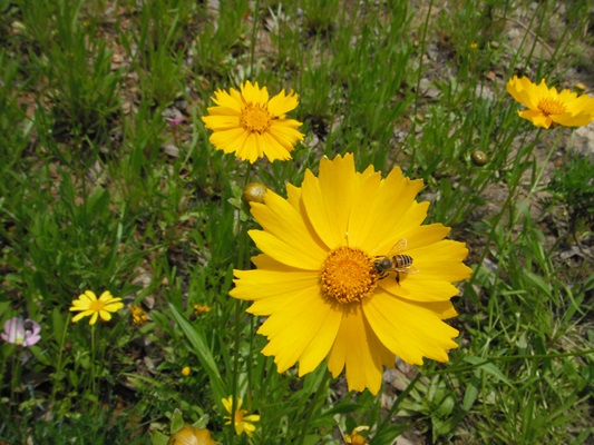 DSCF6269.JPG