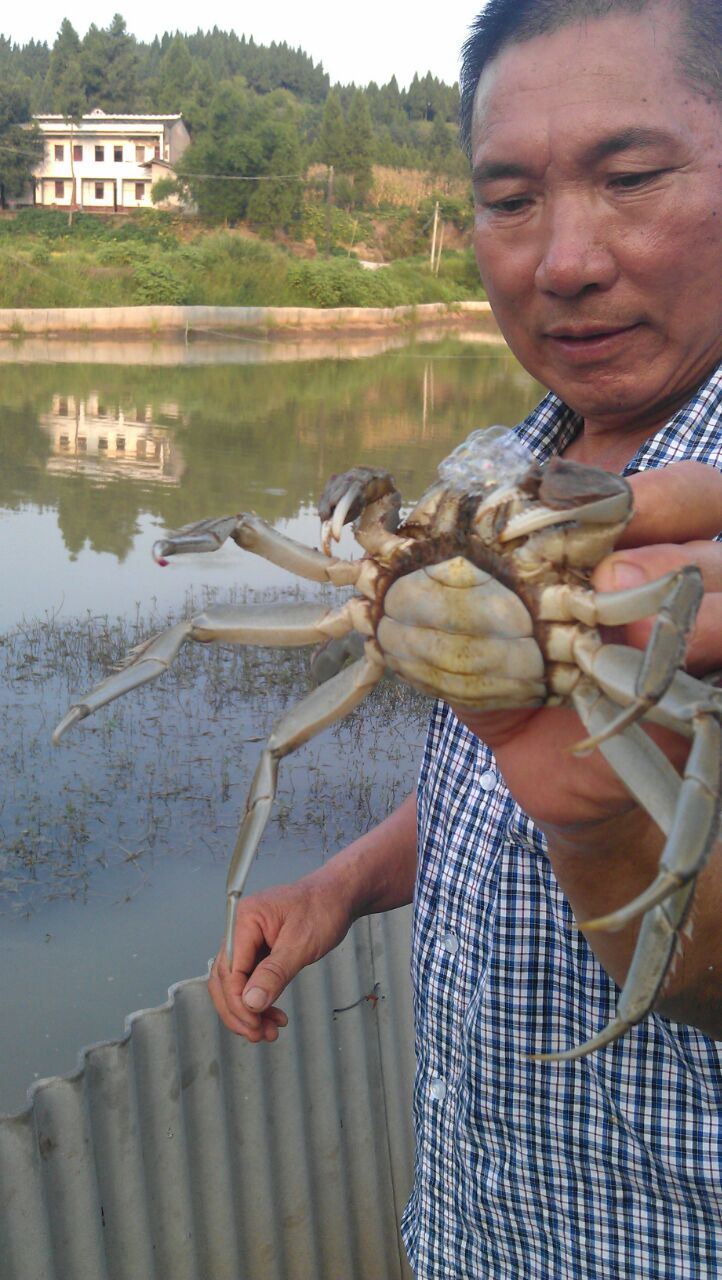ĸз