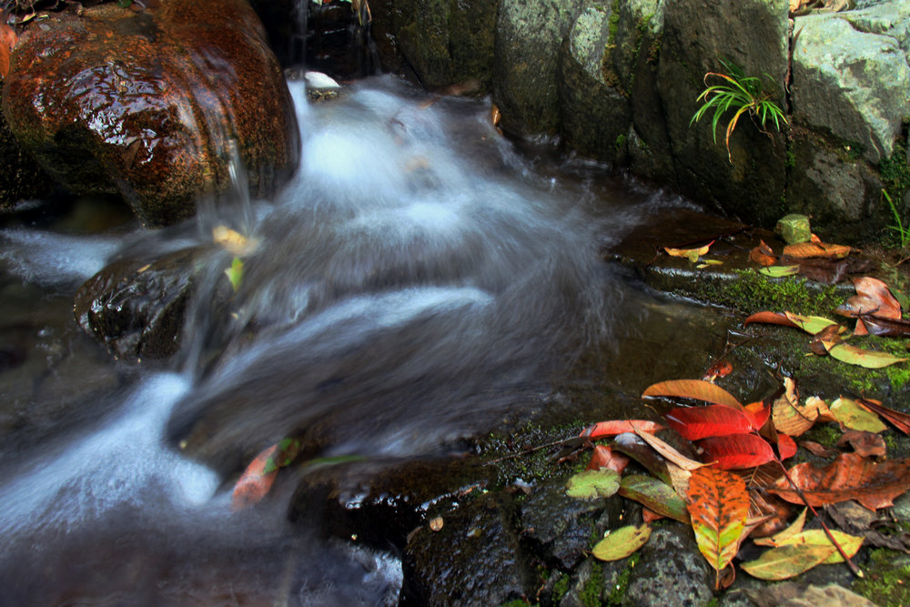 山间,那一泓秋水