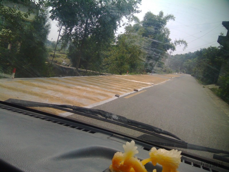 conew_img_20130814_111422.jpg