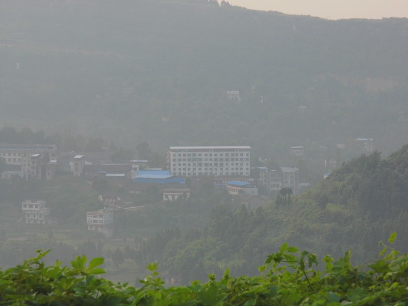 psb010.jpg