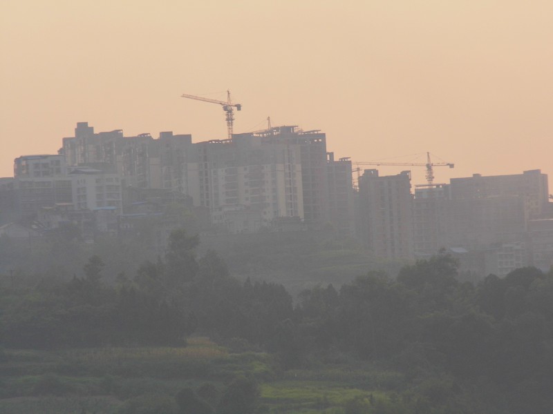psb011.jpg