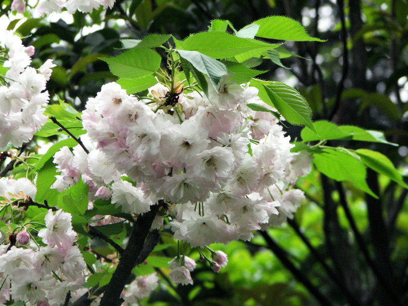 IMG_5663.jpg