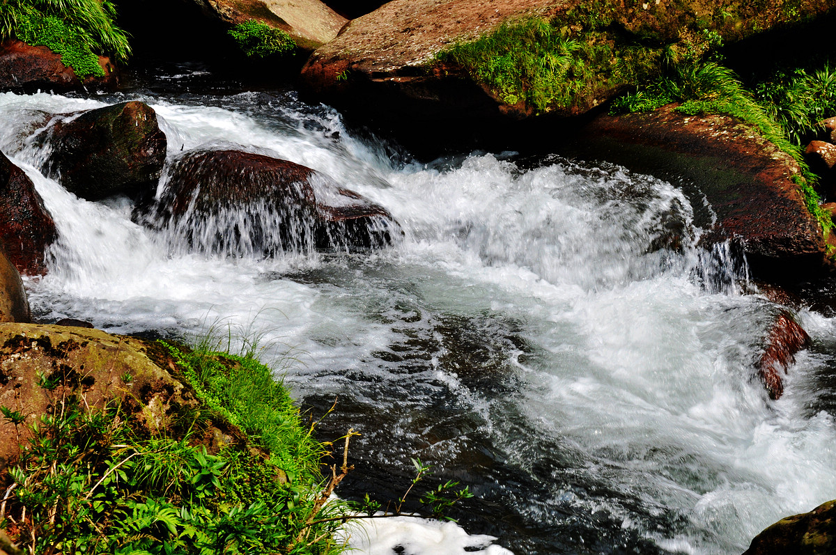 DSC_0163.jpg