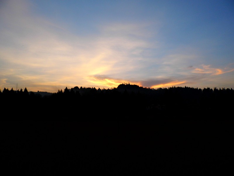 psb03.jpg