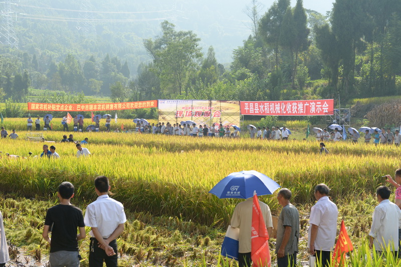 DSC_5435_С.JPG