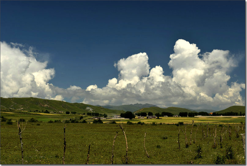 DSC_2375.jpg