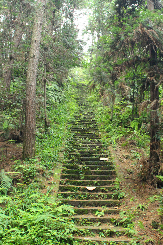 荣县高石梯森林公园采风