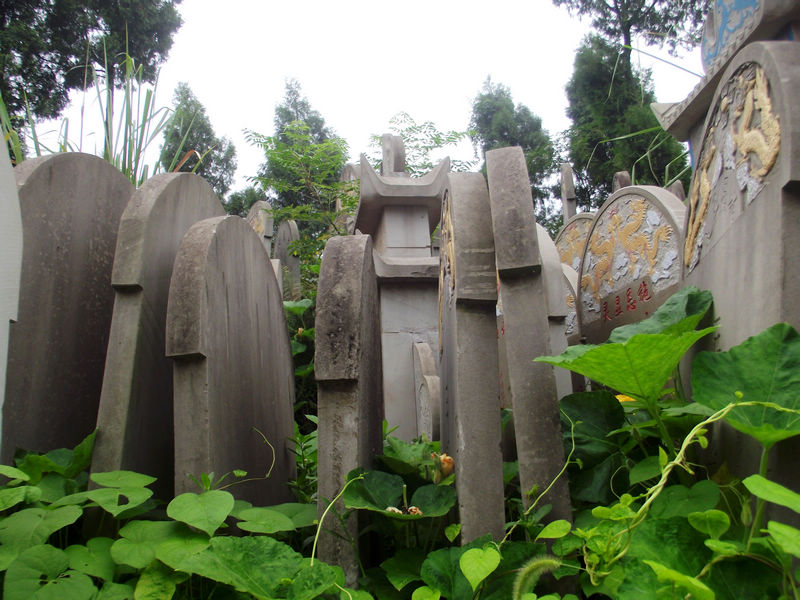 DSCF7662.JPG