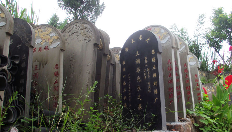 DSCF7663.JPG