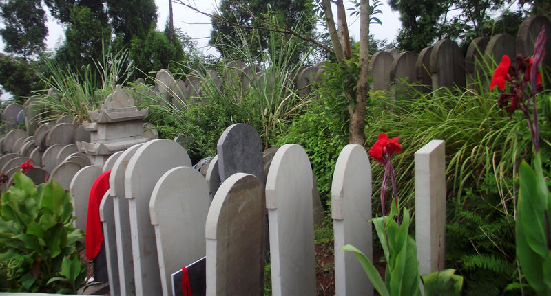 DSCF7658.JPG