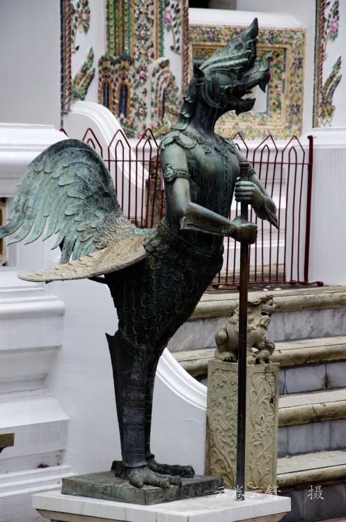 conew_dsc_6020.jpg