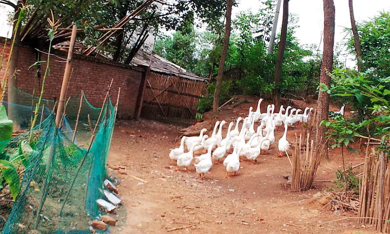 20130819_160204.jpg