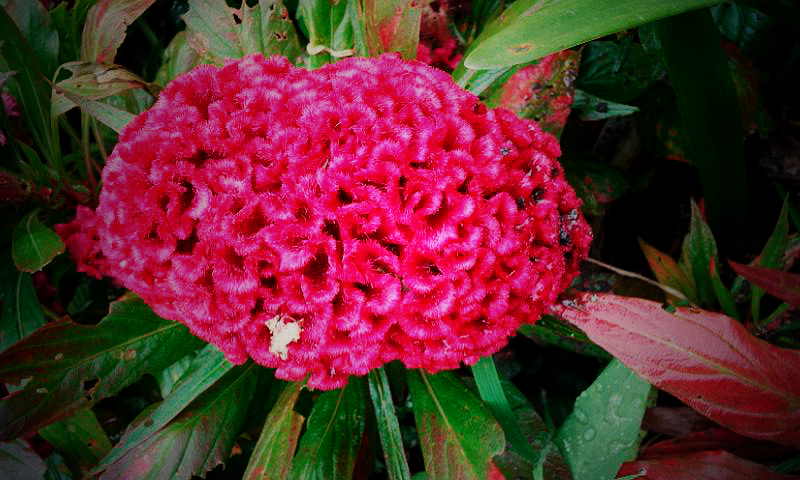20130820_081122.jpg