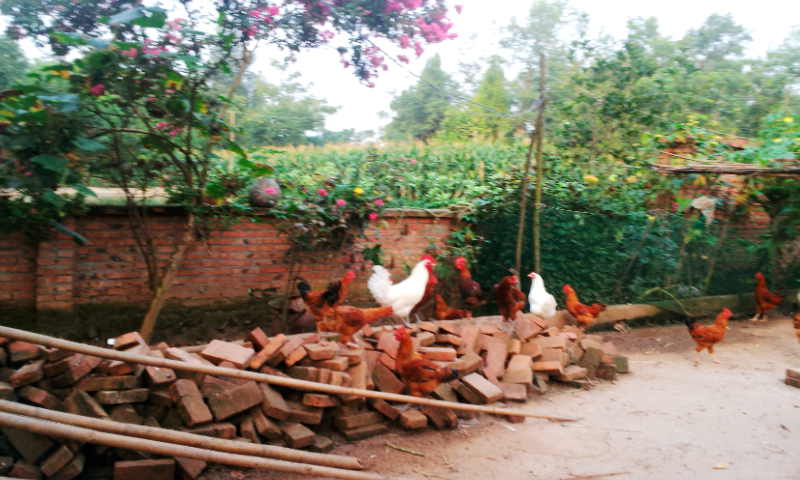 20130821_073931.jpg