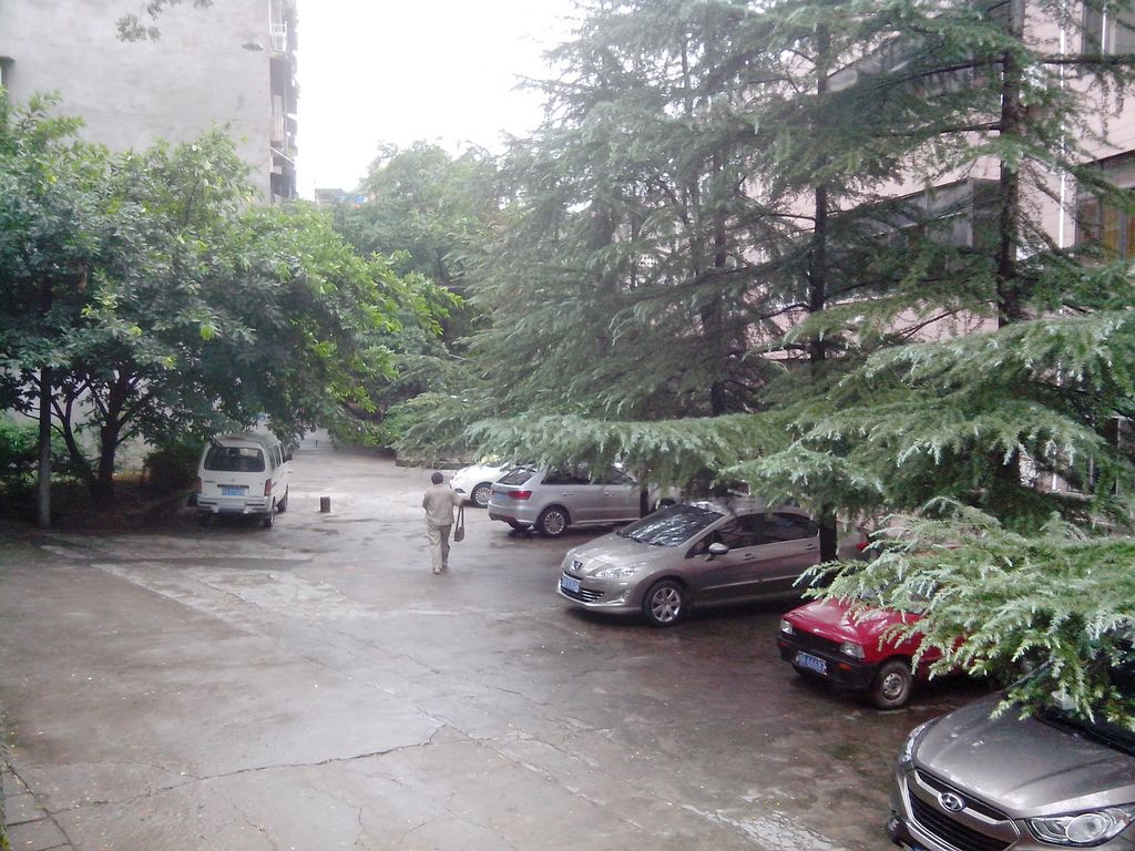 IMG_20130829_104923.jpg
