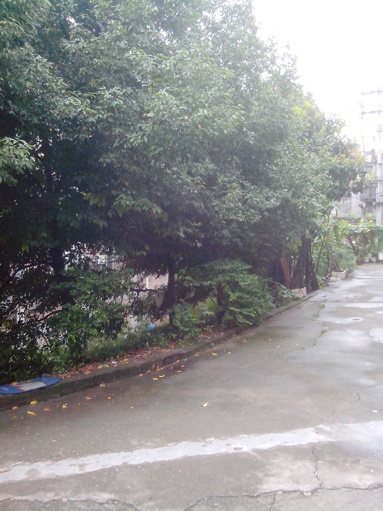 IMG_20130829_105224.jpg