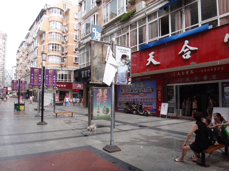 DSC00187_.jpg