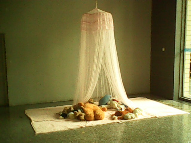 IMG2621A.jpg