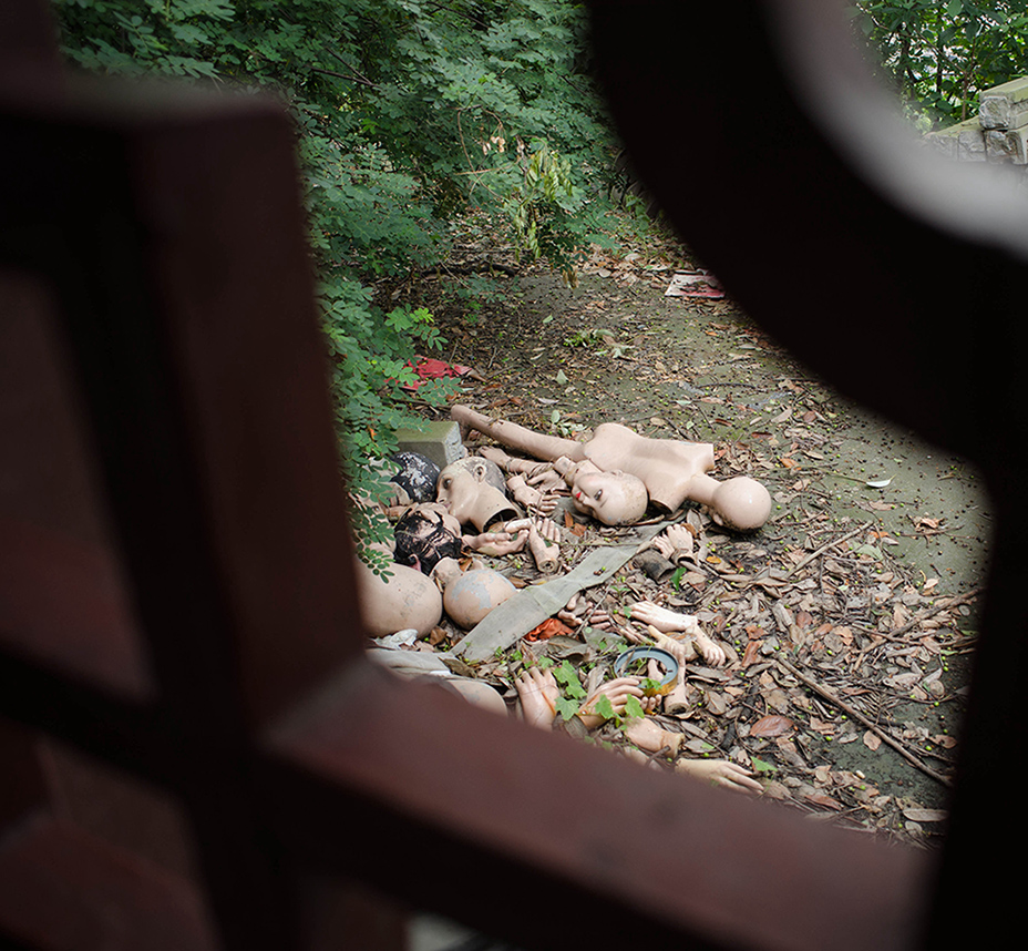 DSC_0269.jpg