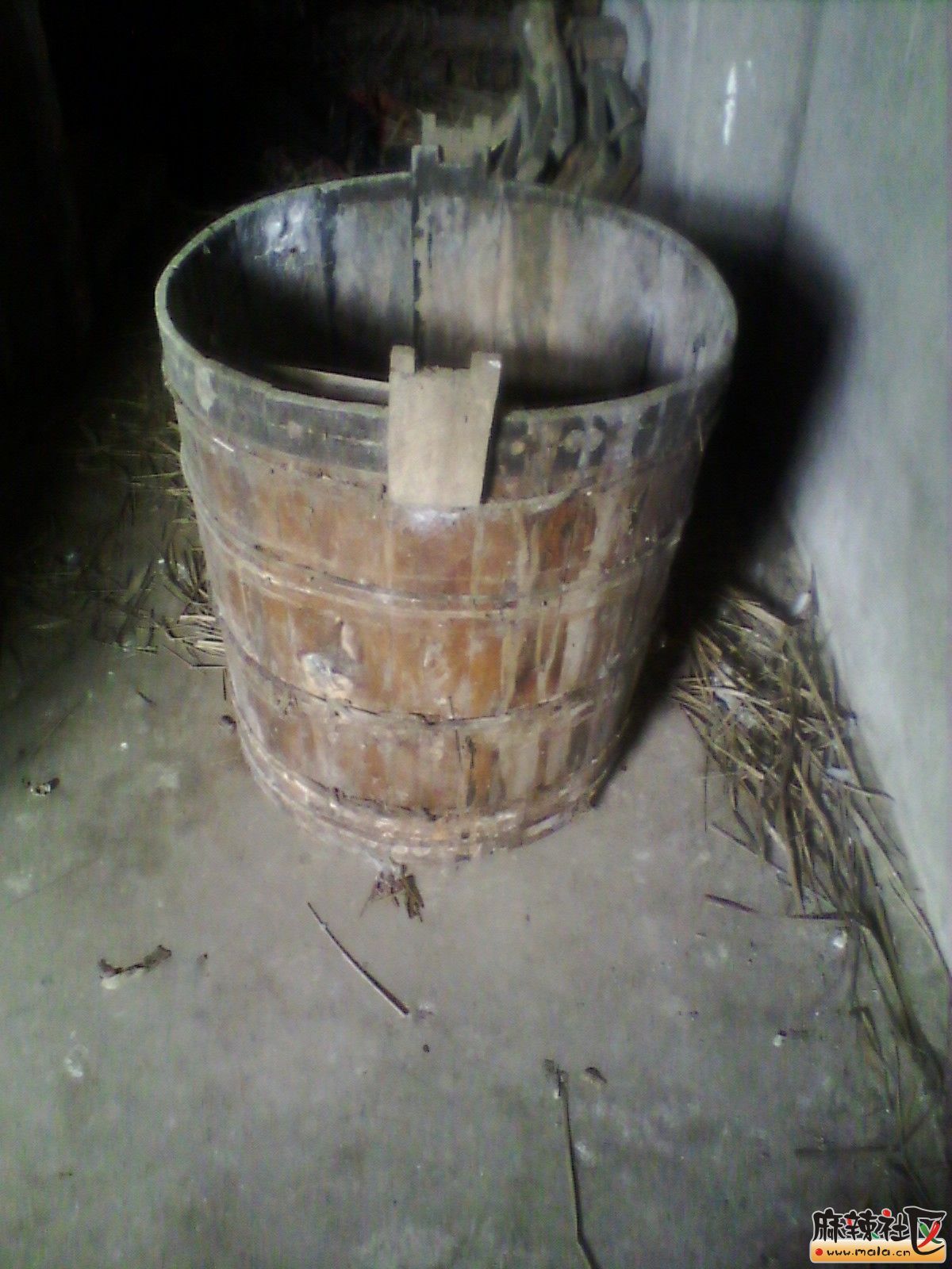 IMG_20130903_113131.jpg