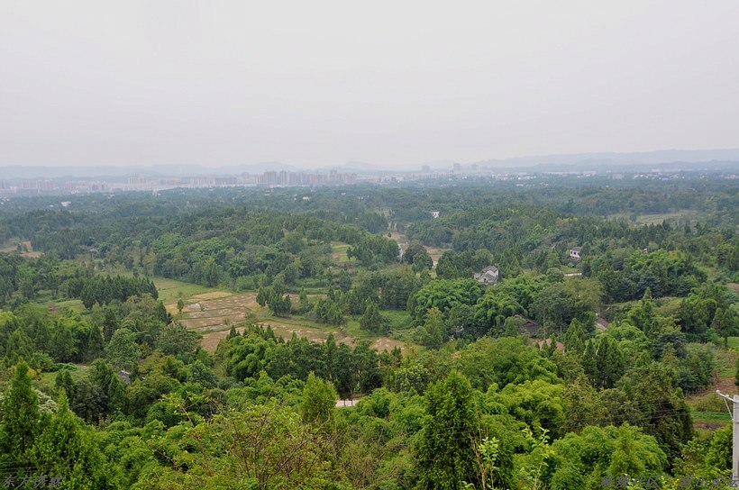 DSC_0187.jpg