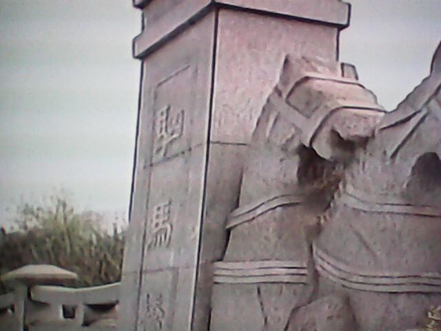 IMG0783A.jpg
