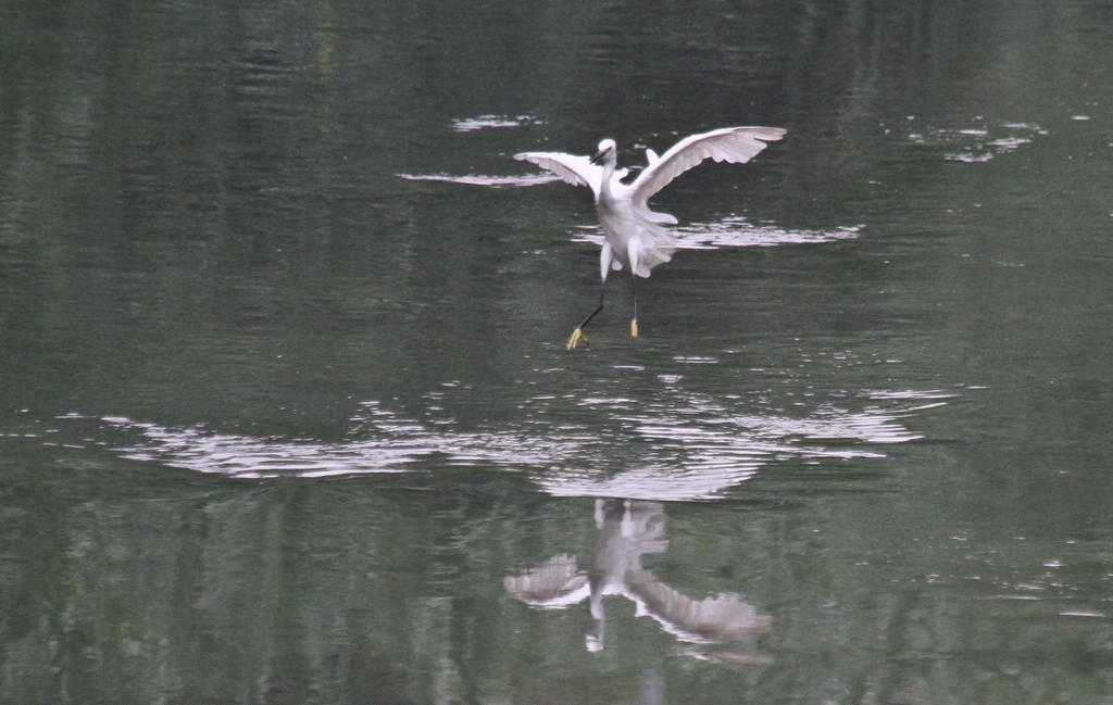 IMG_3399.JPG