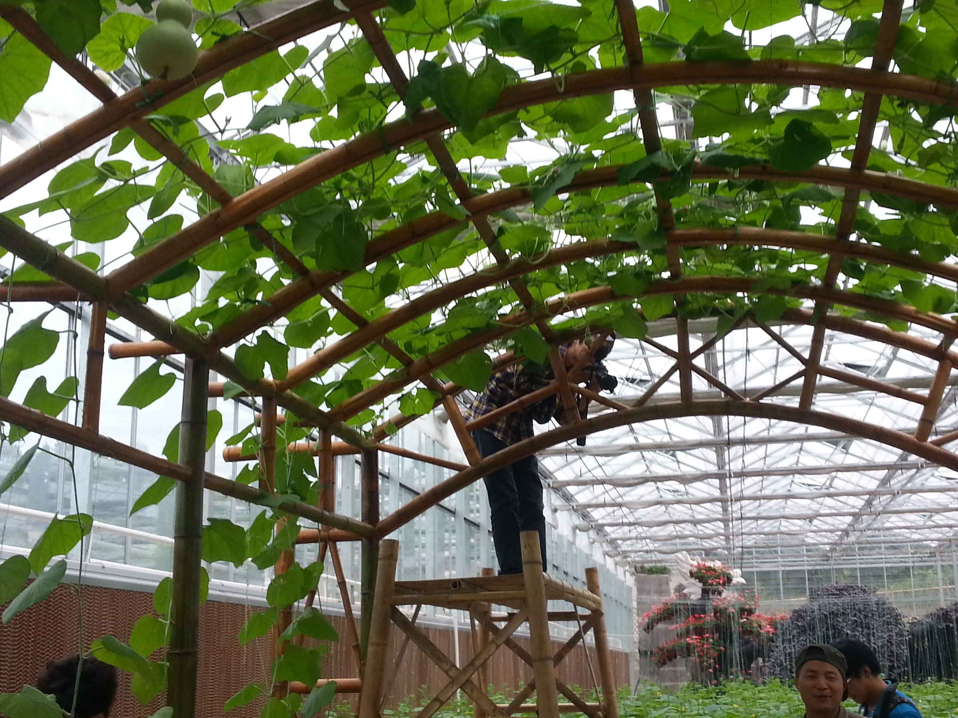 20130907_140554.jpg