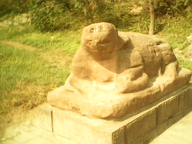 IMG1165A.jpg