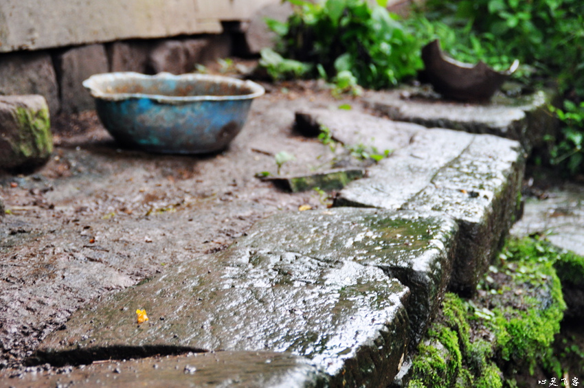 DSC_3024.jpg